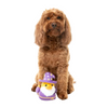 Fuzzyard Plush Dog Toy - Sirius Quack