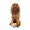 Fuzzyard Plush Dog Toy - Timothee Chalaquack