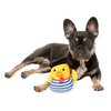 Fuzzyard Plush Dog Toy - Timothee Chalaquack