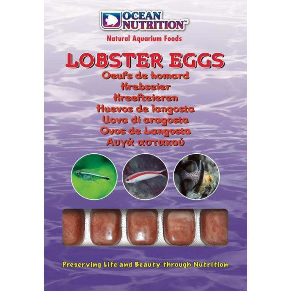 Ocean Nutrition Frozen Lobster Eggs 100g Petstop