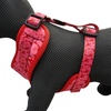 Alice & Co - Harness - Safari
