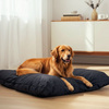 Alice & Co - Rocky Black - Cushion