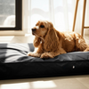 Alice & Co - Coco- Waterproof Plain Cushion - Black