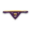 GAA Official Pet Bandana - Wexford