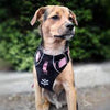 Sotnos Triple Safety Harness - Pink