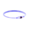 Flash Light Ring - Blue