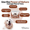 NutriPaw Chews - Flea & Tick