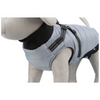 Pontis - Harness Coat - Grey