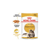 Royal Canin Cat Pouch - Maine Coon