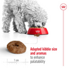 Royal Canin Mini Ageing 12+