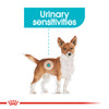Royal Canin Mini Urinary Care