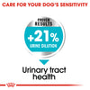 Royal Canin Mini Urinary Care