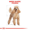 Royal Canin Poodle Adult