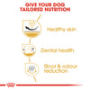 Royal Canin Shih Tzu Adult