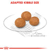 Royal Canin Xsmall Adult 1.5kg