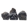 Marina Decorative Fossil Tyrannosaurus Rex 3 Pieces