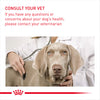 Royal Canin Medium Digestive Care