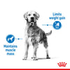 Royal Canin - Medium - Light Weight Care