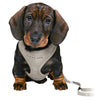 Trixie Junior Puppy Soft Harness with Lead Grey