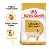 Royal Canin Labrador Retriever Adult