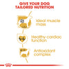 Royal Canin Boxer Adult