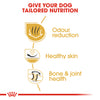 Royal Canin - Bulldog - Adult