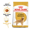 Royal Canin Golden Retriever Adult