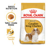 Royal Canin Cavalier King Charles Adult