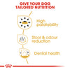 Royal Canin Chihuahua Adult