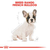 Royal Canin - French Bulldog - Puppy