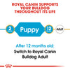 Royal Canin - Bulldog - Puppy/Junior