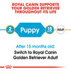 Royal Canin Golden Retriever Puppy/Junior