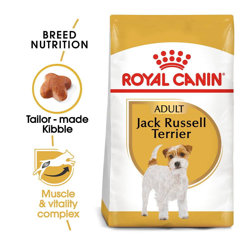Best dog food best sale for jack russells uk