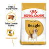 Royal Canin Beagle