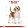 Royal Canin Beagle