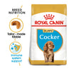 Royal Canin Cocker Spaniel Puppy