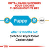 Royal Canin Cocker Spaniel Puppy