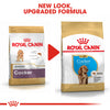 Royal Canin Cocker Spaniel Puppy