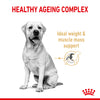 Royal Canin Labrador Retriever Adult 5+ 12kg