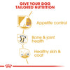 Royal Canin Labrador Retriever Sterilised 12kg