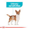 Royal Canin Dog Pouch - Urinary Care Dog