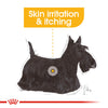Royal Canin Dog Pouch - Dermacomfort