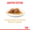 Royal Canin Dog Pouch - Labrador Retriever