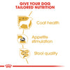Royal Canin Dog Pouch - Yorkshire Terrier