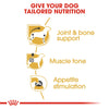 Royal Canin Dog Pouch - Dachshund
