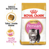 Royal Canin Persian Kitten