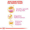 Royal Canin Persian Kitten