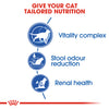 Royal Canin Cat Indoor +7