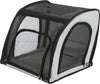Car Seat & Carrier