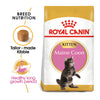 Royal Canin - Maine Coon - Kitten